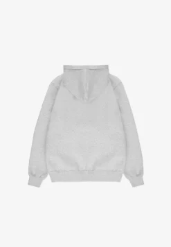 Hoodie Aiz Gray
