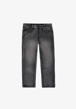 Jeans Regular Jyng Light Gray