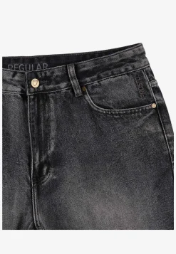 Jeans Regular Jyng Light Gray