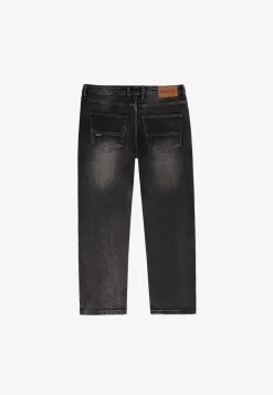 Jeans Regular Speal Gray
