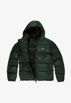 Winter Adament Dark Green