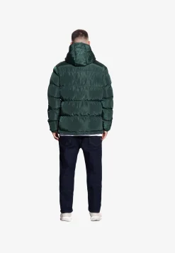 Winter Adament Dark Green